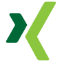 Xing icon