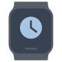 Clock icon