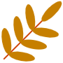 Autumn Leaves free icon for commercial use