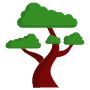 Bonsai Tree icon