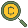Coin And Magnifier icon