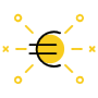 Euro icon