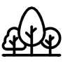 Forest Trees icon