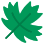Green Maple Leaf free icon for commercial use