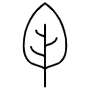 Leaf free icon for commercial use