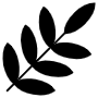 Leaf Silhouette icon