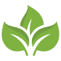 Leaves icon
