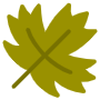 Maple Leaf icon