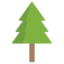 Pine icon