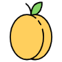 Apricot free icon for commercial use