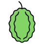 Durian Fruit free icon for commercial use