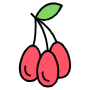 Goji Berry free icon for commercial use