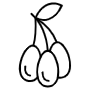 Goji Berry free icon for commercial use