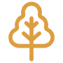 Autumn Tree free icon for commercial use
