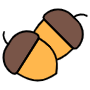 Acorn icon