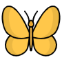 Butterfly icon
