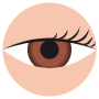 Chestnut Brown Eye Color free icon for commercial use