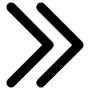 Double Arrow Right icon