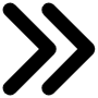Double Arrow Right icon