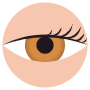Honey Eye Color free icon for commercial use