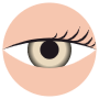 Sugar Grey Eye Color free icon for commercial use