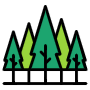Pine Forest icon