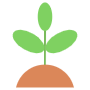 Green Growing Plant free icon for commercial use