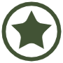 Army Star Badge free icon for commercial use