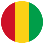 Guinea Flag Circular icon
