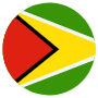 Guyana Flag Circular icon