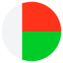 Madagascar Flag Circular icon