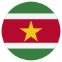 Suriname Flag Circular icon