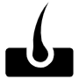 Hair Follicle Black free icon for commercial use