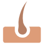 Hair Follicle Or Skin free icon for commercial use