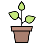 Potted Green Plant icon