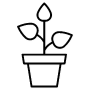Potted Green Plant Growing Black Outline icon