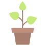 Potted Green Plant Growing icon