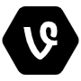 Vine Hexagon Black Logo icon