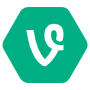 Vine Hexagon Green Logo icon