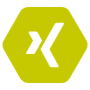 Xing Hexagon Green Logo icon