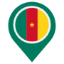 Cameron Location Flag Pin icon