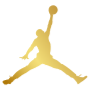 Jordan Junpman Logo Gold icon