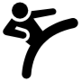 Kick Martial Arts Taekwondo icon