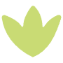 Abstract Shape Lotus icon