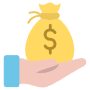 Salary Revenue Hand icon