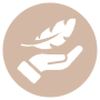 Lightweight Beige Circle Round free icon for commercial use