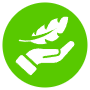 Lightweight Green Circle Round free icon for commercial use