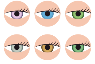 free-svg-png-icon-packs-customize-online-download
